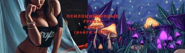 бошки Алзамай