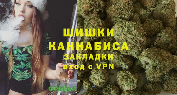 бошки Алзамай